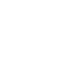 snow icon